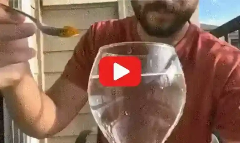 Video del Dr. Montalvo